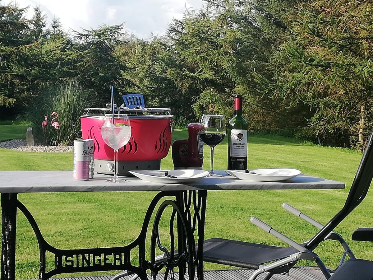 Forest Path Luxury Studio Apartment With Large Bedroom Bathroom And Sauna Sleeps Up To 4 Ballynahinch Eksteriør bilde