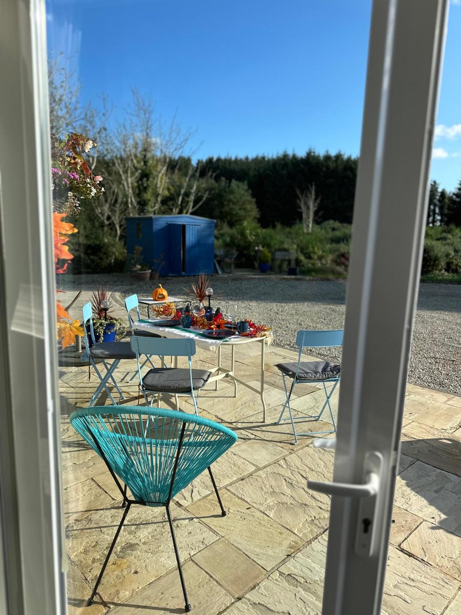 Forest Path Luxury Studio Apartment With Large Bedroom Bathroom And Sauna Sleeps Up To 4 Ballynahinch Eksteriør bilde