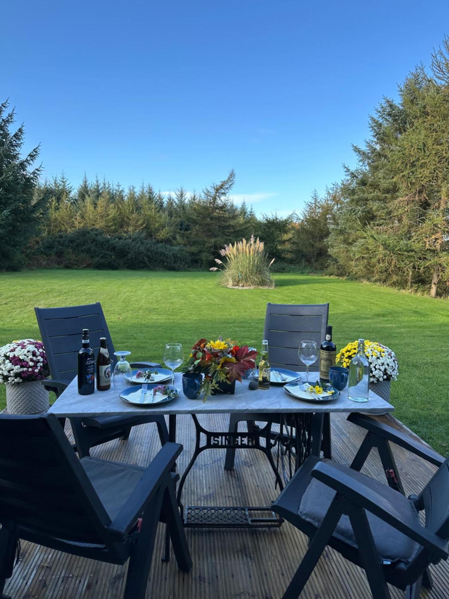 Forest Path Luxury Studio Apartment With Large Bedroom Bathroom And Sauna Sleeps Up To 4 Ballynahinch Eksteriør bilde