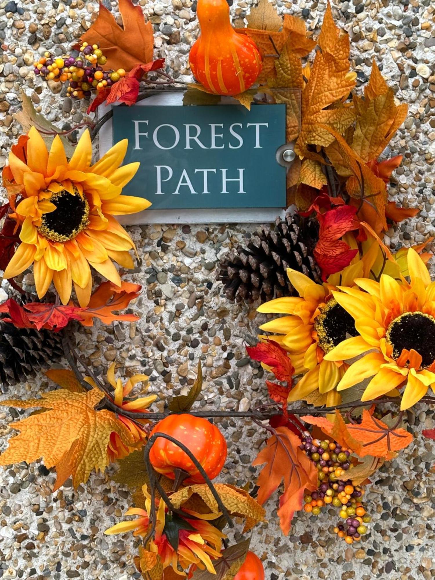 Forest Path Luxury Studio Apartment With Large Bedroom Bathroom And Sauna Sleeps Up To 4 Ballynahinch Eksteriør bilde